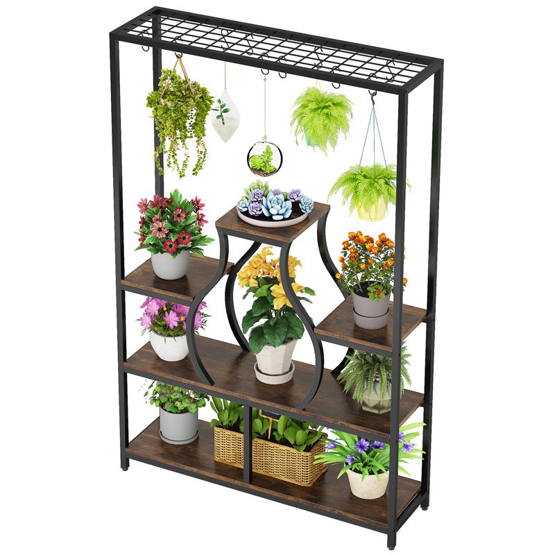 Home Garden Bonsai Display Dec - Bonsai Garden Display ulasan dan harga