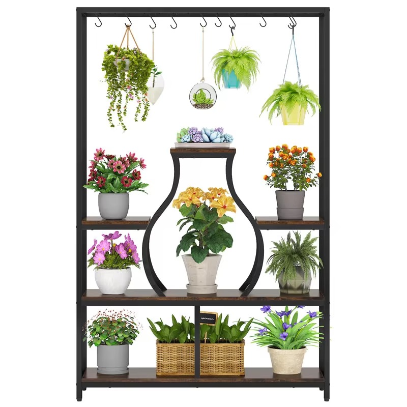 Home Garden Bonsai Display Dec - Bonsai Garden Display ulasan dan harga