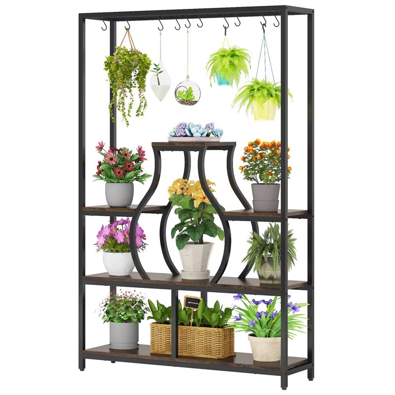 Home Garden Bonsai Display Dec - Bonsai Garden Display ulasan dan harga