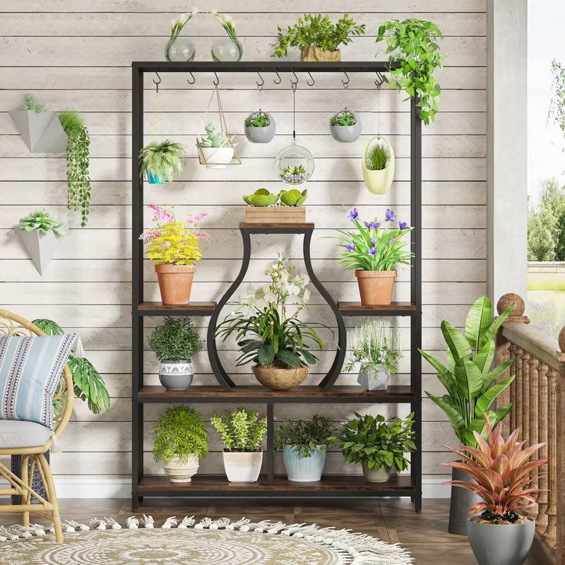 Home Garden Bonsai Display Dec - Bonsai Garden Display ulasan dan harga