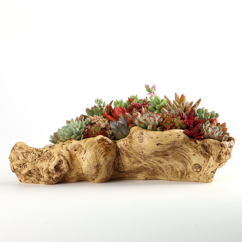 Pastoral Retro Landscape Flowe - Bonsai Tree Zen Garden ulasan dan harga