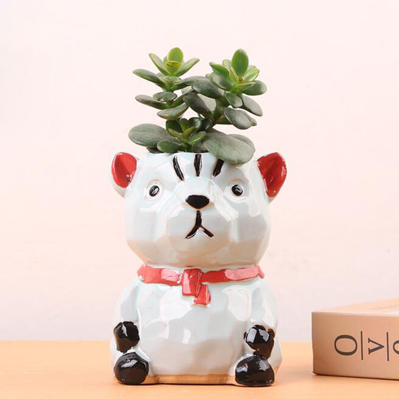 Creative Cartoon Animal Fleshy - Bonsai Garden Europe ulasan dan harga