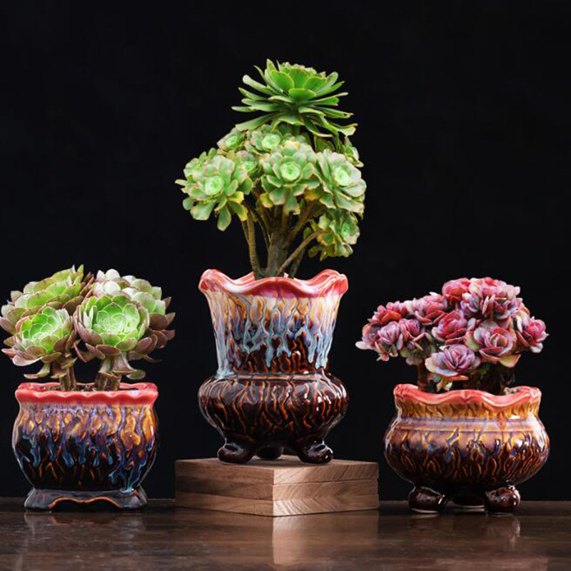 Creative Glazed Flowerpot Succ - Bonsai Tree Zen Garden ulasan dan harga