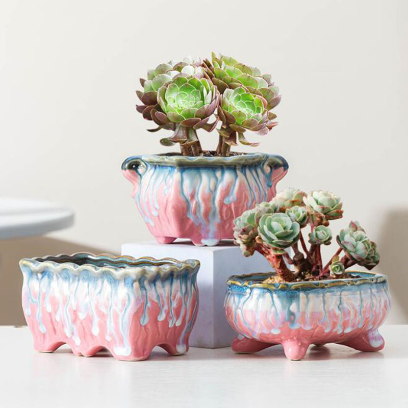 Creative Glazed Flowerpot Succ - Bonsai Tree Zen Garden ulasan dan harga