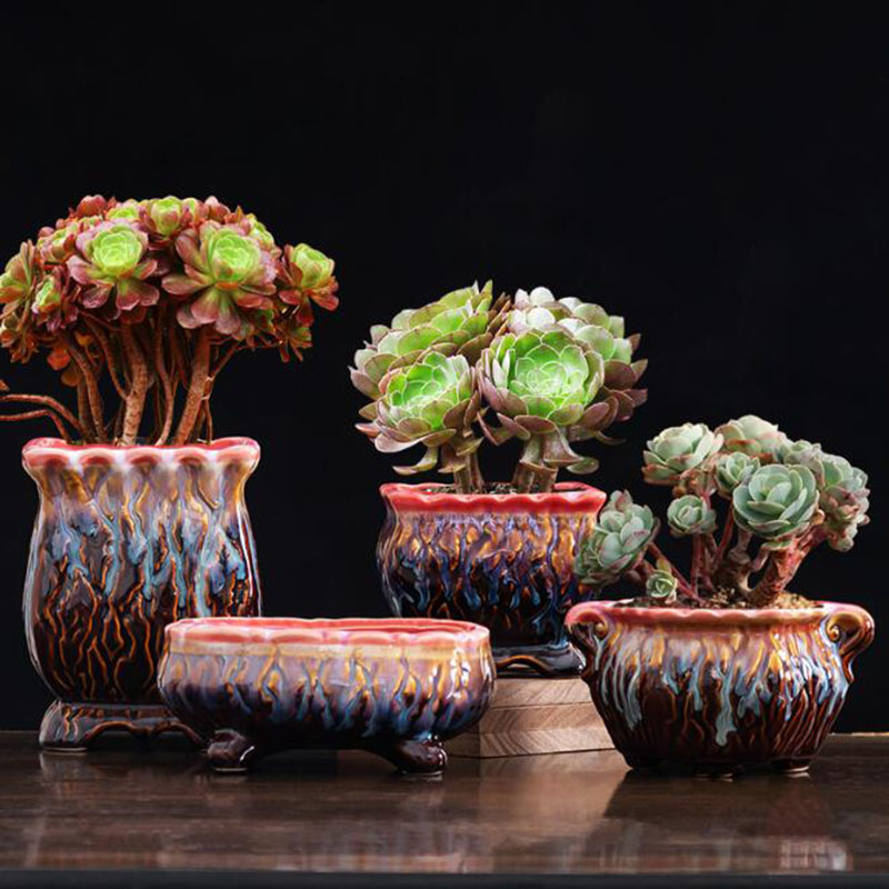 Creative Glazed Flowerpot Succ - Bonsai Tree Zen Garden ulasan dan harga