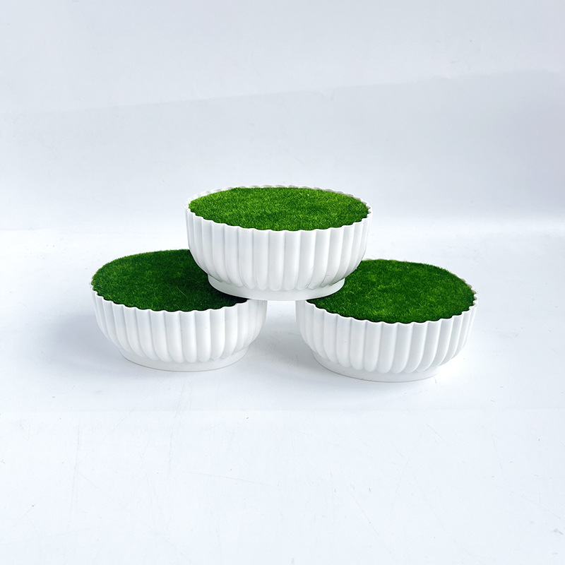 Corrosion resistant injection  - Bonsai Garden Shop ulasan dan harga