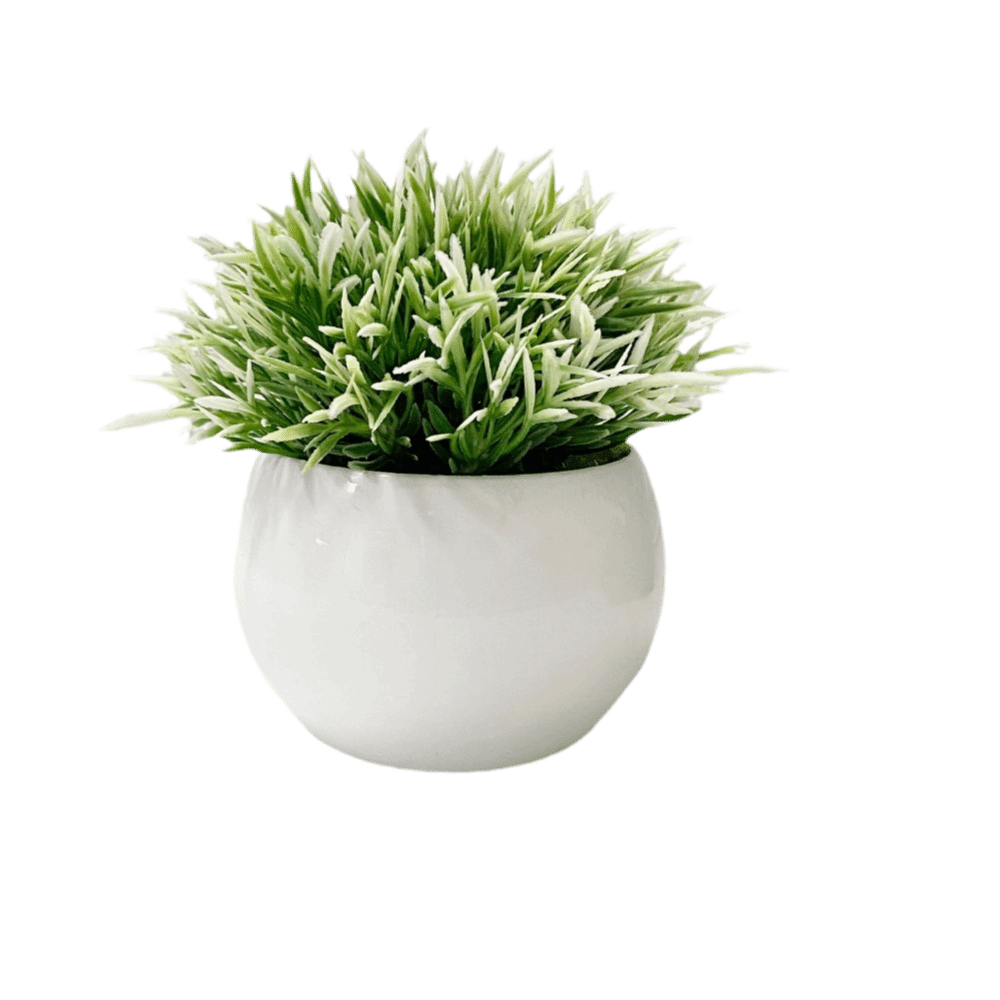 with Pot Artificial Plants Out - Bonsai Garden Zen ulasan dan harga