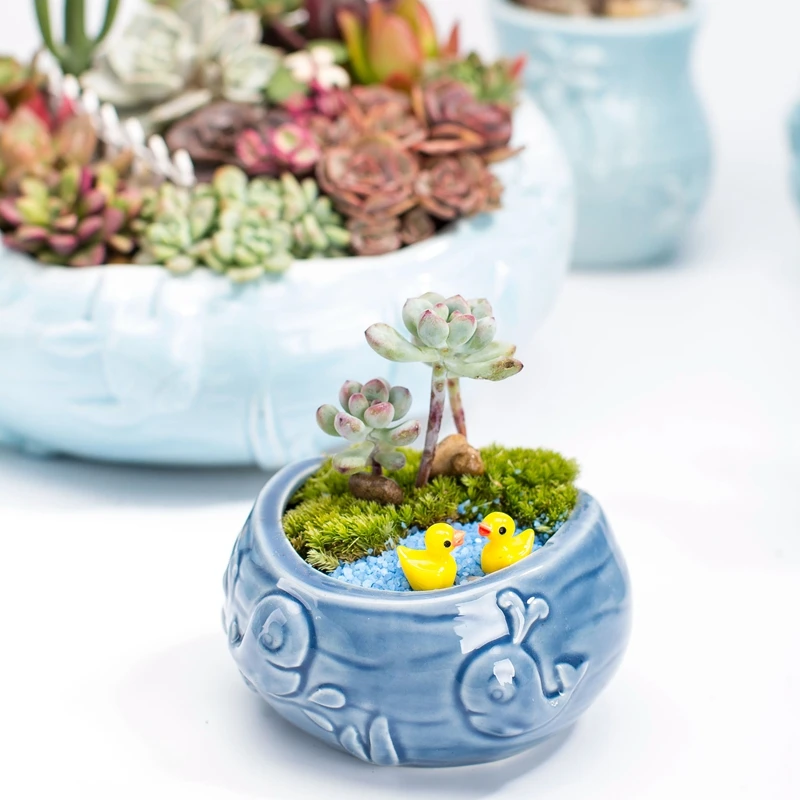 European Style Cute Fleshy Flo - Bonsai Tree Zen Garden ulasan dan harga