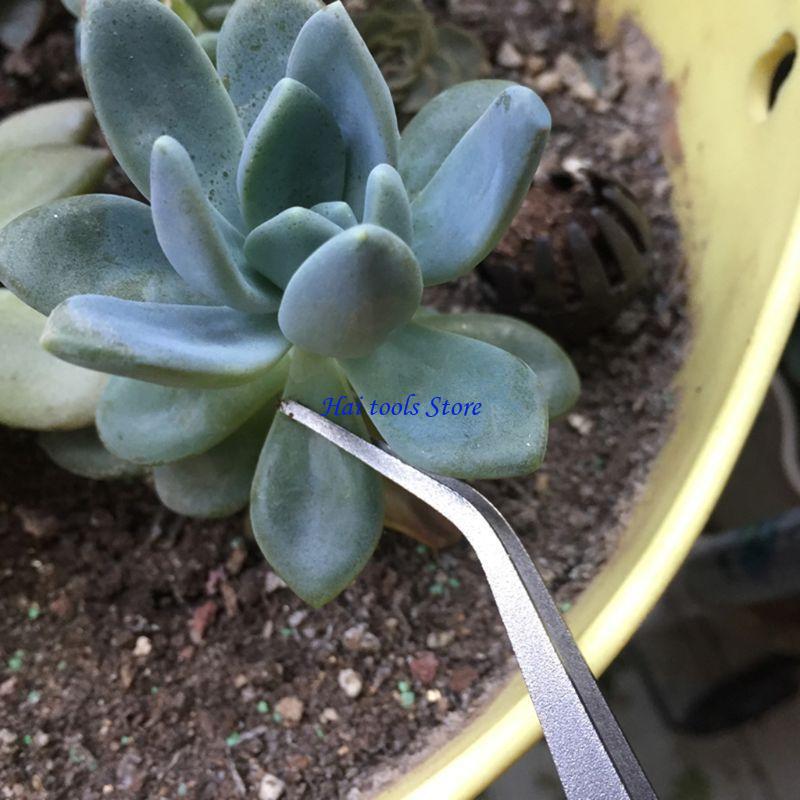 X37E Durable Gardening Rake Mi - Bonsai Garden Shop ulasan dan harga