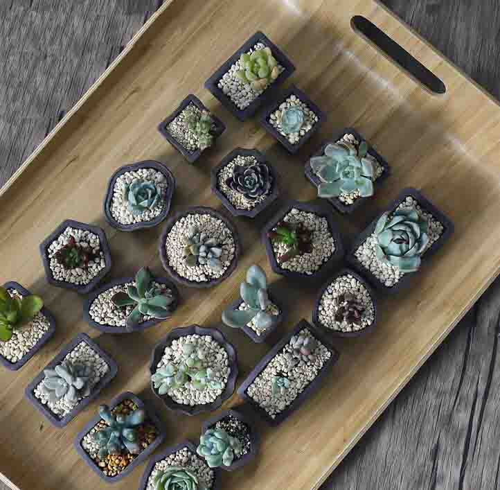 Yixing Purple Sand Flower Pot  - Bonsai Tree Zen Garden ulasan dan harga