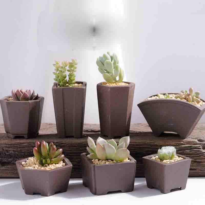 Yixing Purple Sand Flower Pot  - Bonsai Tree Zen Garden ulasan dan harga