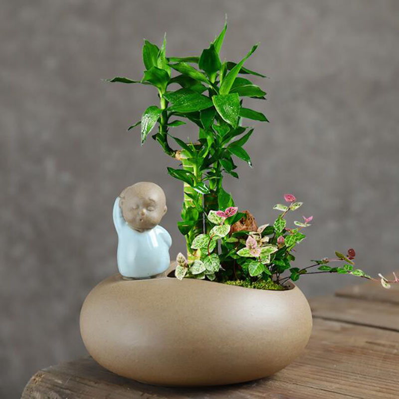 Chinese Style Retro Ceramic Mo - Bonsai Garden Europe ulasan dan harga