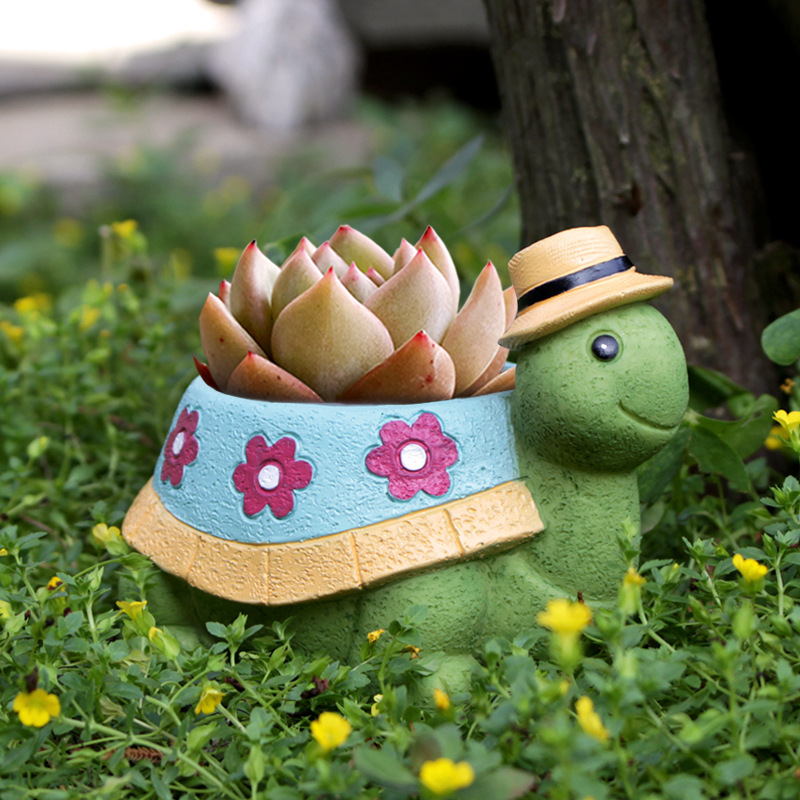 Cartoon Turtle Succulent Flowe - Bonsai Tree Zen Garden ulasan dan harga