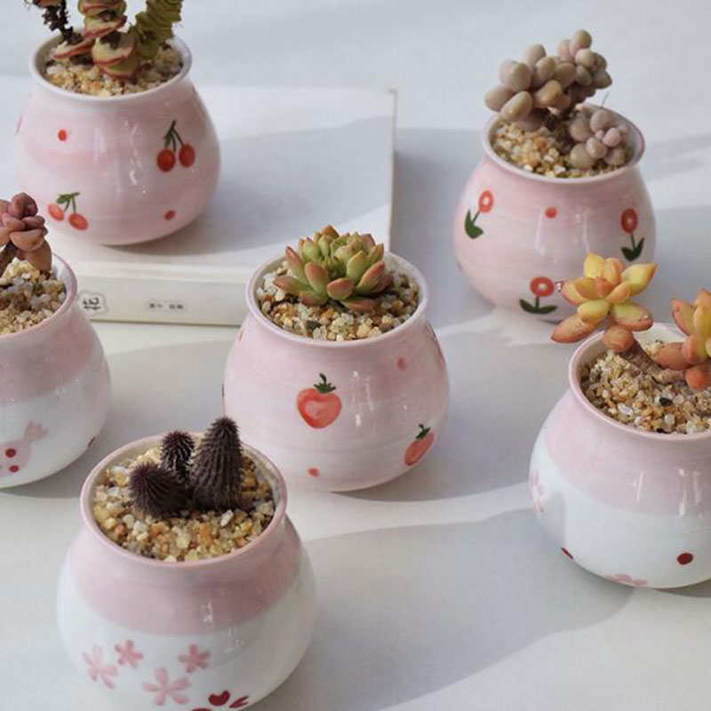 Cute Pink Girl Heart Series Fl - Bonsai Garden Europe ulasan dan harga