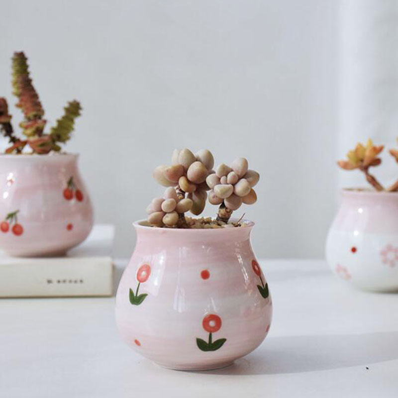 Cute Pink Girl Heart Series Fl - Bonsai Garden Europe ulasan dan harga