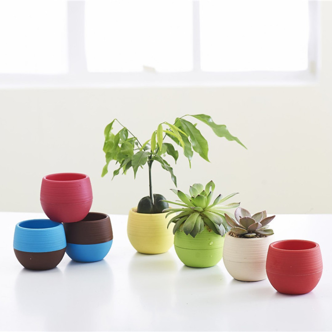 Gardening Mini Plastic Flower  - Bonsai Garden Europe ulasan dan harga