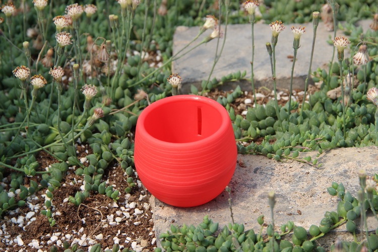 Gardening Mini Plastic Flower  - Bonsai Garden Europe ulasan dan harga