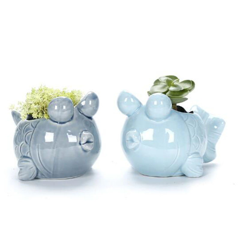 European Style Cute Fleshy Flo - Bonsai Garden Europe ulasan dan harga