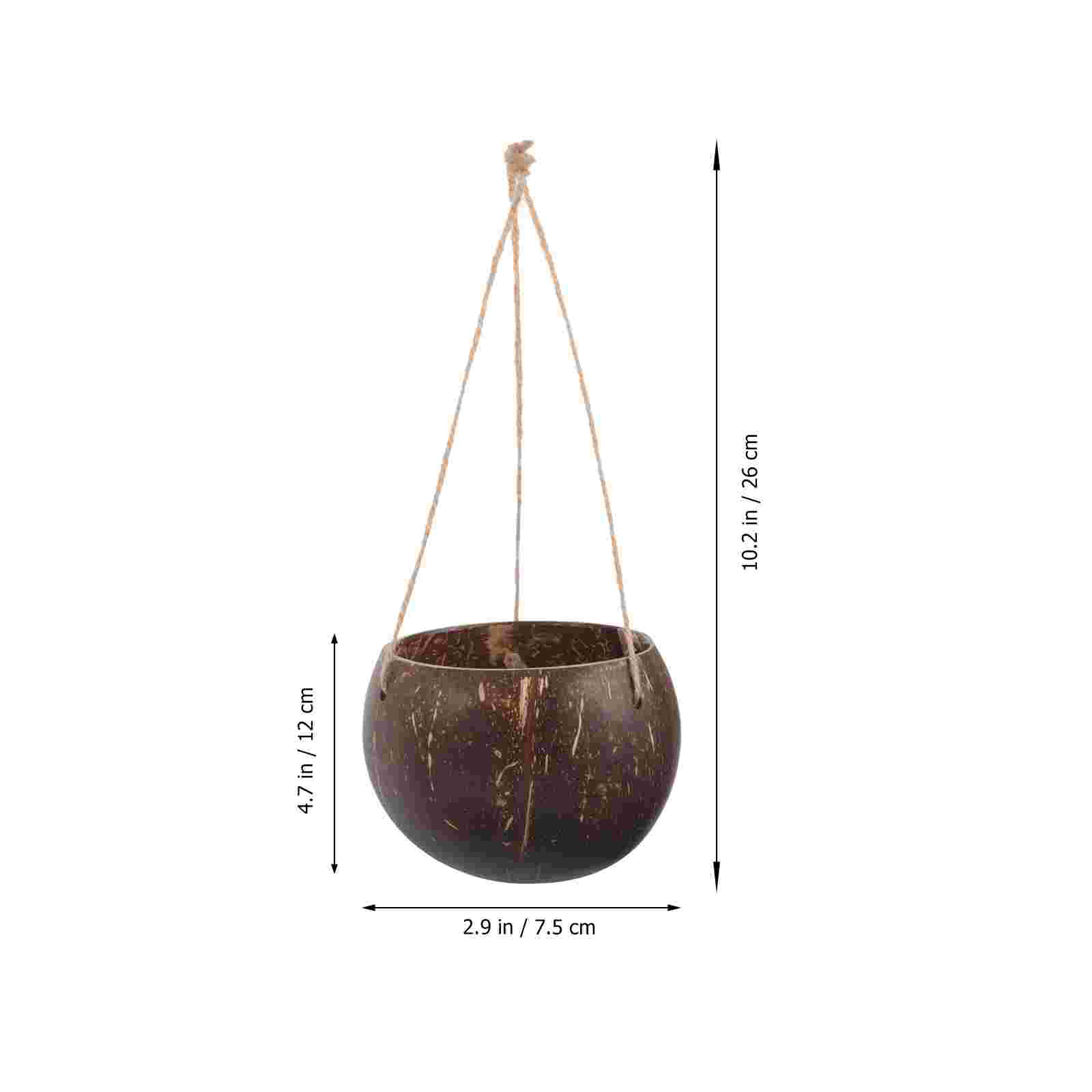 Large Hanging Planter Coconut  - Bonsai Tree Zen Garden ulasan dan harga
