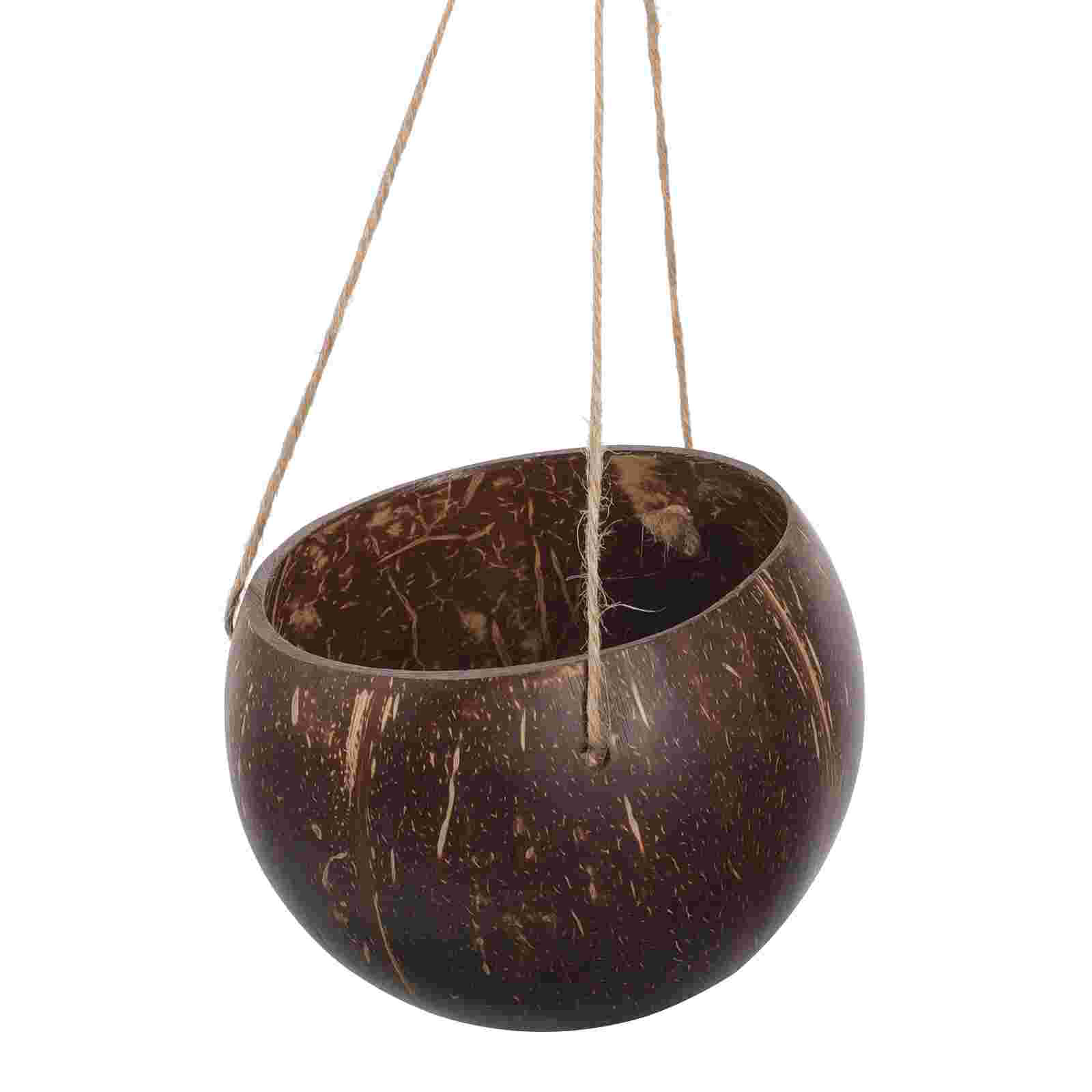Large Hanging Planter Coconut  - Bonsai Tree Zen Garden ulasan dan harga